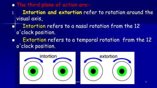  The third plane of action are:-
1. Intortion and extortion refer to rotation around the
visual axis,
 Intortion refers to a nasal rotation from the 12
o'clock position.
 Extortion refers to a temporal rotation from the 12
o'clock position.
Optom. Ankit Varshney 12
 
