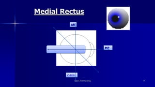 Medial Rectus
Optom. Ankit Varshney 14
Z-axis
AR
MP
 