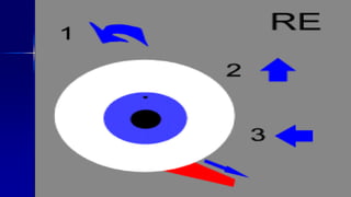 Optom. Ankit Varshney 29
 