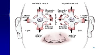 Optom. Ankit Varshney 3
 