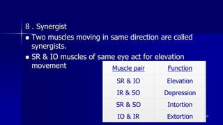 8 . Synergist
 Two muscles moving in same direction are called
synergists.
 SR & IO muscles of same eye act for elevation
movement
Optom. Ankit Varshney 40
Muscle pair Function
SR & IO Elevation
IR & SO Depression
SR & SO Intortion
IO & IR Extortion
 