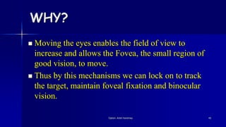 WHY?
 Moving the eyes enables the field of view to
increase and allows the Fovea, the small region of
good vision, to move.
 Thus by this mechanisms we can lock on to track
the target, maintain foveal fixation and binocular
vision.
Optom. Ankit Varshney 45
 