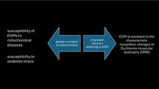 Eom Table Extraocular muscle embryology and histology | PDF