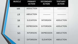 MUSCLE PRIMARY
ACTION
SECONDARY
ACTION
TERTIARY
ACTION
MR ADDUCTION __________ ____________
LR ABDUCTION __________ ____________
SR ELEVATION INTORSION ADDUCTION
IR DEPRESSION EXTORSION ADDUCTION
SO INTORSION DEPRESSION ABDUCTION
IO EXTORSION ELEVATION ABDUCTION
 