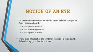 MOTION OF AN EYE
• To describe eye motions we need a set of defined axes (Fick’s
Axes - draw on board)
• X axis : nasal -> temporal
• Y axis: anterior -> posterior
• Z axis: superior -> inferior
• These axes intersect at the center of rotation - a fixed point,
defined as 13.5 mm behind cornea.
 