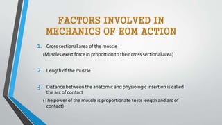 FACTORS INVOLVED IN
MECHANICS OF EOM ACTION
1. Cross sectional area of the muscle
(Muscles exert force in proportion to their cross sectional area)
2. Length of the muscle
3. Distance between the anatomic and physiologic insertion is called
the arc of contact
(The power of the muscle is proportionate to its length and arc of
contact)
 