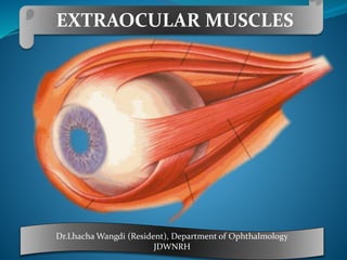 EXTRAOCULAR MUSCLES
Dr.Lhacha Wangdi (Resident), Department of Ophthalmology
JDWNRH
 
