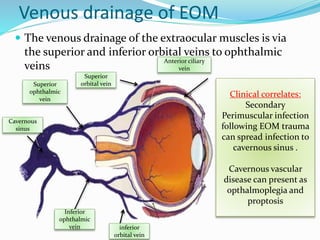 Venous drainage of EOM
 The venous drainage of the extraocular muscles is via
the superior and inferior orbital veins to ophthalmic
veins
Anterior ciliary
vein
Cavernous
sinus
Inferior
ophthalmic
vein
Superior
ophthalmic
vein
Superior
orbital vein
inferior
orbital vein
Clinical correlates:
Secondary
Perimuscular infection
following EOM trauma
can spread infection to
cavernous sinus .
Cavernous vascular
disease can present as
opthalmoplegia and
proptosis
 
