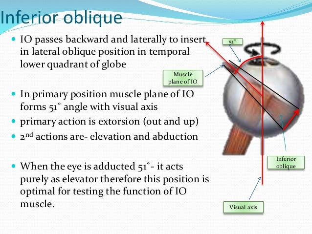 Eom ppt