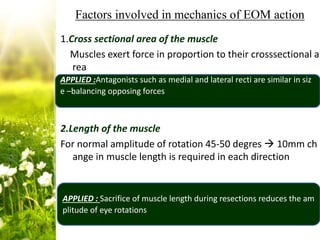 Eom Table Anatomy and physiology of extraocular muscles and applied aspects | PPTX