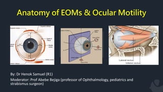 Anatomy of EOMs & Ocular Motility
1
By: Dr Henok Samuel (R1)
Moderator: Prof Abebe Bejiga (professor of Ophthalmology, pediatrics and
strabismus surgeon)
 