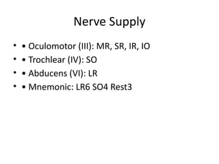 Extraocular muscle and its overview and squint | PPTX