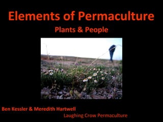 Elements of Permaculture ,[object Object],Ben Kessler & Meredith Hartwell  Laughing Crow Permaculture 