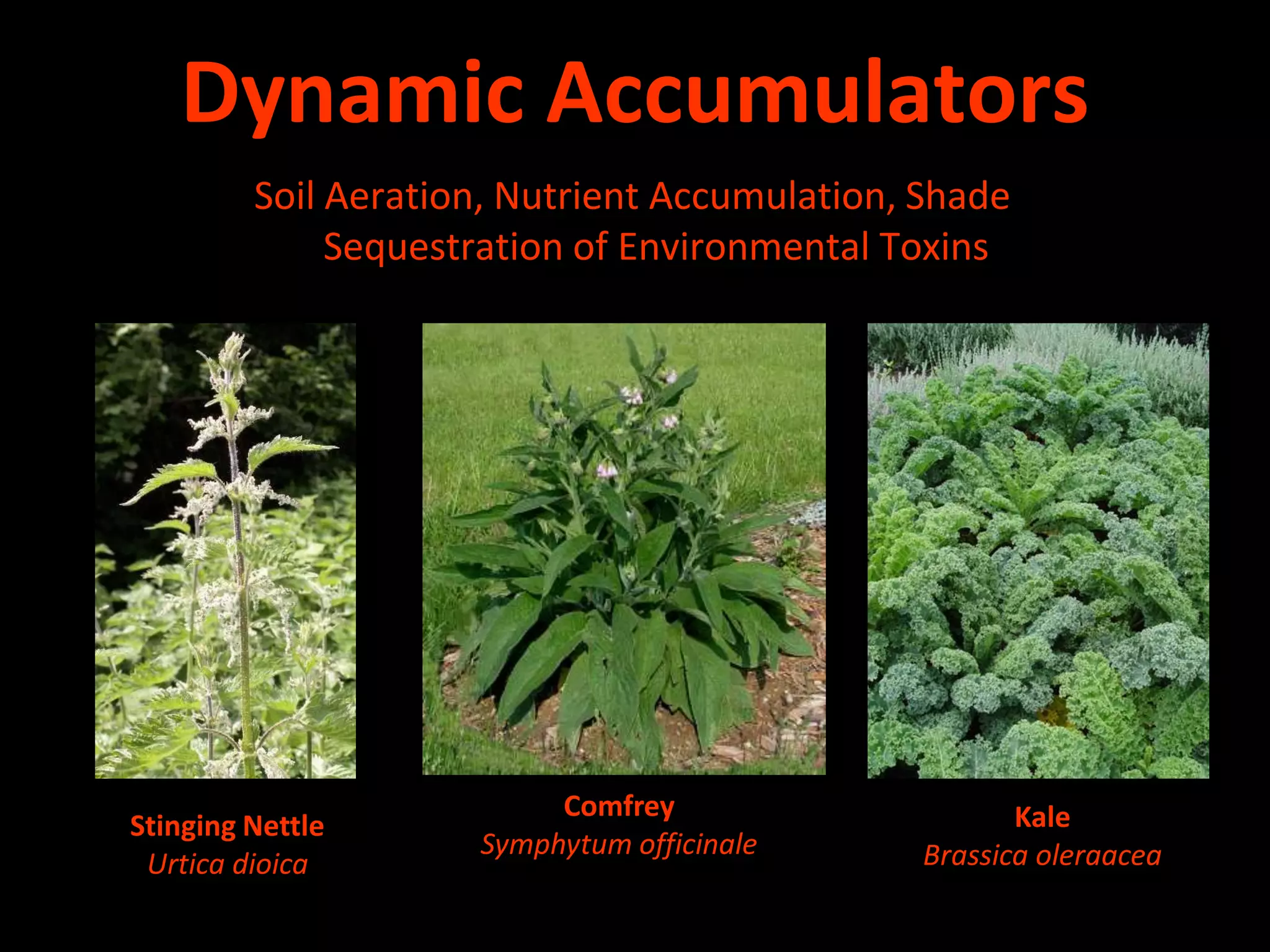 ~ Evaluate sun/shade/wind sectors and create warmer or cooler microclimates depending on vegetable typeStructures & thermal mass:	~ Raised beds & black pots	~ Frost cloth & plastic “mulch”	~ Cold frames & hoop houses	~ Greenhouses9