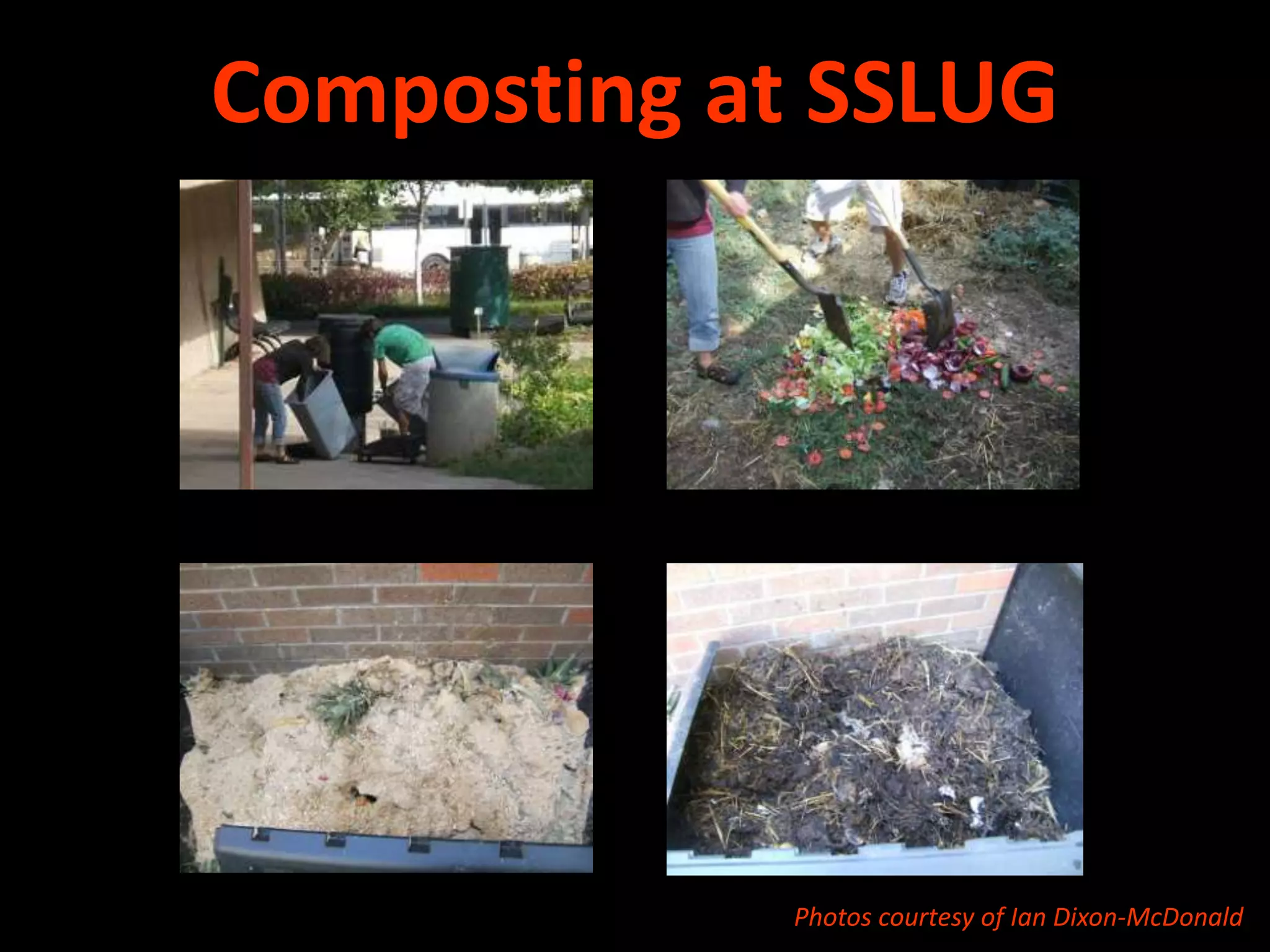 18Polyculture DesignFoodTea/Medicine/InsectaryGround Cover/Nitrogen FixerFood/Medicine/Insectarycourtesy of Connor Stedman