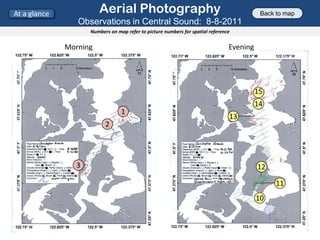 Aerial Photography
Observations in Central Sound: 8-8-2011
Numbers on map refer to picture numbers for spatial reference
M...