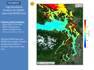 24 July
24 July
High Resolution
Products for MODIS-
Aqua and MODIS-Terra
Products Under Evaluation:
Quasi-250-m True Color...