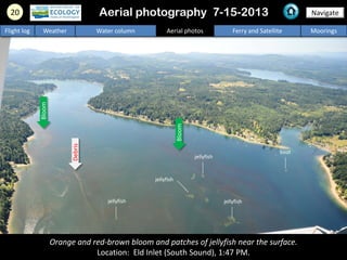20 Navigate
Flight log Weather Water column Aerial photos Ferry and Satellite Moorings
Orange and red-brown bloom and patches of jellyfish near the surface.
Location: Eld Inlet (South Sound), 1:47 PM.
Aerial photography 7-15-2013
Bloom
Bloom
jellyfish
jellyfishjellyfish
jellyfish
boat
Debris
 