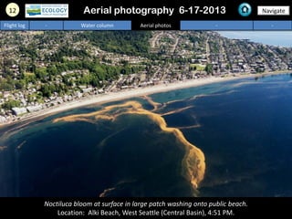 12 Navigate
Flight log - Water column Aerial photos - -
Noctiluca bloom at surface in large patch washing onto public beach.
Location: Alki Beach, West Seattle (Central Basin), 4:51 PM.
Aerial photography 6-17-2013
 