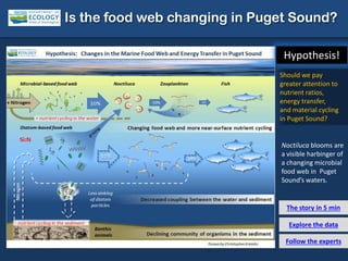 Explore the data
Is the food web changing in Puget Sound?
The story in 5 min
Follow the experts
Hypothesis!
Should we pay
greater attention to
nutrient ratios,
energy transfer,
and material cycling
in Puget Sound?
Noctiluca blooms are
a visible harbinger of
a changing microbial
food web in Puget
Sound’s waters.
 