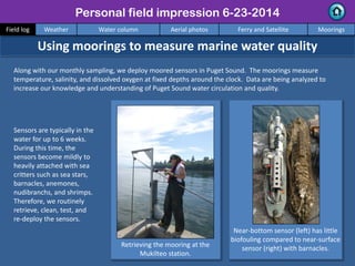 Along with our monthly sampling, we deploy moored sensors in Puget Sound. The moorings measure
temperature, salinity, and dissolved oxygen at fixed depths around the clock. Data are being analyzed to
increase our knowledge and understanding of Puget Sound water circulation and quality.
Personal field impression 6-23-2014
Using moorings to measure marine water quality
Sensors are typically in the
water for up to 6 weeks.
During this time, the
sensors become mildly to
heavily attached with sea
critters such as sea stars,
barnacles, anemones,
nudibranchs, and shrimps.
Therefore, we routinely
retrieve, clean, test, and
re-deploy the sensors.
Near-bottom sensor (left) has little
biofouling compared to near-surface
sensor (right) with barnacles.Retrieving the mooring at the
Mukilteo station.
Field log Weather Water column Aerial photos Ferry and Satellite Moorings
 