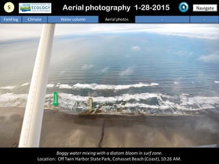 5 NavigateAerial photography 1-28-2015
Fieldlog Climate Water column Aerial photos - -
Boggy water mixing with a diatom bloom in surf zone.
Location: OffTwin Harbor State Park, Cohasset Beach (Coast),10:26 AM.
Plume
Bloom
 