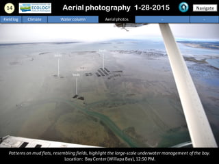 Patterns on mud flats, resembling fields,highlight the large-scale underwater management of the bay.
Location: BayCenter (Willapa Bay),12:50 PM.
14 Navigate
Fieldlog Climate Water column Aerial photos - -
Aerial photography 1-28-2015
beds
beds
beds
 
