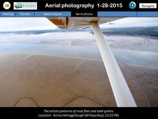 18 Navigate
Fieldlog Climate Water column Aerial photos - -
The artisticpatterns of mud flats and tidal gullies.
Location: Across KelloggSlough (Willapa Bay),12:53 PM.
Aerial photography 1-28-2015
 