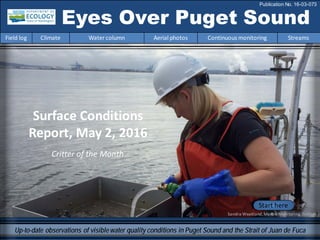 Critter of the Month
Surface Conditions
Report, May 2, 2016
Eyes Over Puget Sound
Field log Climate Water column Aerial photos Continuous monitoring Streams
Publication No. 16-03-073
Up-to-date observations of visiblewater quality conditions in Puget Sound and the Strait of Juan de Fuca
Start here
Sandra Weakland,MarineMonitoring,Ecology
 