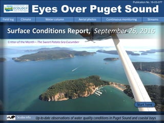 Surface Conditions Report, September 26, 2016
Eyes Over Puget Sound
Field log Climate Water column Aerial photos Continuous monitoring Streams
Publication No. 16-03-077
Up-to-date observations of water quality conditions in Puget Sound and coastal bays
Start here
Scuba info
Critter of the Month– The Sweet Potato Sea Cucumber
 