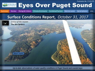 Surface Conditions Report, October 31, 2017
Eyes Over Puget Sound
Publication No. 17-03-073
Up-to-date observations of water quality conditions in Puget Sound and coastal bays
Start here
Critter of the month:
The Sea Spiders
Summary Stories Diving & Critters Climate & streams Combinedfactors Marine water Aerial photos Info
 