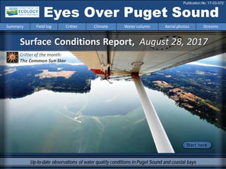 Surface Conditions Report, August 28, 2017
Eyes Over Puget Sound
Publication No. 17-03-072
Up-to-date observations of water quality conditions in Puget Sound and coastal bays
Start here
Summary Field log Critter Climate Water column Aerial photos Streams
Critter of the month:
The Common Sun Star
 