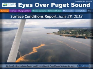Surface Conditions Report, June 28, 2018
Eyes Over Puget Sound
Publication No. 18-03-072
Up-to-date observations of water quality conditions in Puget Sound and coastal bays Start here
Summary Stories Diving & critters Climate & streams Combined factors Marine water Aerial photos Info
 