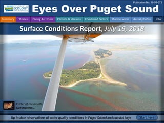 Surface Conditions Report, July 16, 2018
Eyes Over Puget Sound
Publication No. 18-03-073
Up-to-date observations of water quality conditions in Puget Sound and coastal bays Start here
Summary Stories Diving & critters Climate & streams Combined factors Marine water Aerial photos Info
Critter of the month:
Size matters…
 