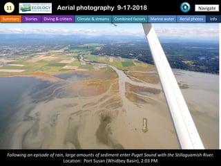 Following an episode of rain, large amounts of sediment enter Puget Sound with the Stillaguamish River.
Location: Port Sus...