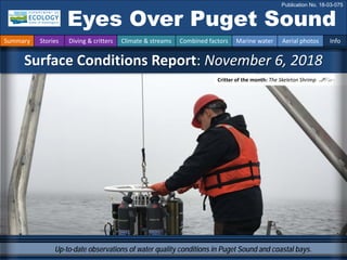 Up-to-date observations of water quality conditions in Puget Sound and coastal bays.
Critter of the month: The Skeleton Shrimp
Surface Conditions Report: November 6, 2018
Eyes Over Puget Sound
Publication No. 18-03-075
Summary Stories Diving & critters Climate & streams Combined factors Marine water Aerial photos Info
 