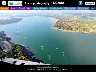 Numerous schools of fish.
Location: Totten Inlet (South Sound), 12:41 PM
8 Navigate
Summary Stories Diving & critters Clim...