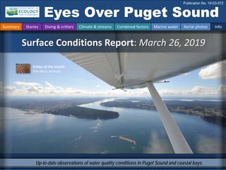 Up-to-date observations of water quality conditions in Puget Sound and coastal bays.
Surface Conditions Report: March 26, 2019
Eyes Over Puget Sound
Publication No. 19-03-072
Summary Stories Diving & critters Climate & streams Combined factors Marine water Aerial photos Info
Critter of the month:
The Moss Animals
 