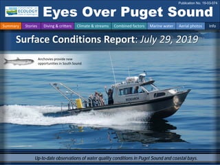 Up-to-date observations of water quality conditions in Puget Sound and coastal bays.
Surface Conditions Report: July 29, 2019
Eyes Over Puget Sound
Publication No. 19-03-074
Summary Stories Diving & critters Climate & streams Combined factors Marine water Aerial photos Info
Anchovies provide new
opportunities in South Sound
 