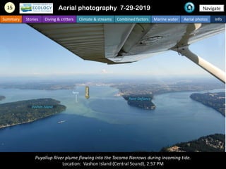 Puyallup River plume flowing into the Tacoma Narrows during incoming tide.
Location: Vashon Island (Central Sound), 2:57 P...