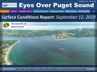 Up-to-date observations of water quality conditions in Puget Sound and coastal bays
Surface Conditions Report: September 12, 2019
Eyes Over Puget Sound
Publication No. 19-03-075
Summary Stories Diving & critters Climate & streams Combined factors Marine water Aerial photos Info
The benefits of
beach wrack
 