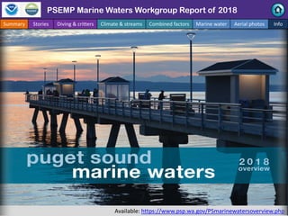 Available: https://www.psp.wa.gov/PSmarinewatersoverview.php
Personal Field Impression
Summary Stories Diving & critters C...