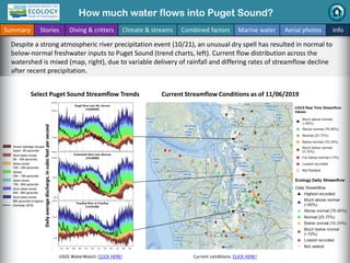 How much water flows into Puget Sound?
Summary Stories Diving & critters Climate & streams Combined factors Marine water A...