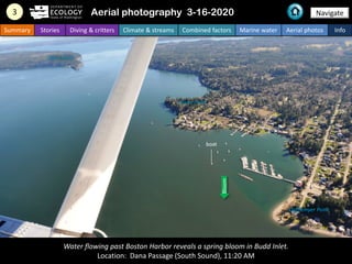 Water flowing past Boston Harbor reveals a spring bloom in Budd Inlet.
Location: Dana Passage (South Sound), 11:20 AM
3 Na...