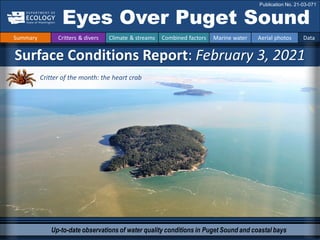 Up-to-date observations of water quality conditions in Puget Sound and coastal bays
Surface Conditions Report: February 3, 2021
Eyes Over Puget Sound
Publication No. 21-03-071
Summary Critters & divers Climate & streams Combined factors Marine water Aerial photos Data
Critter of the month: the heart crab
 