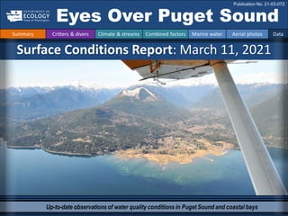 Up-to-date observations of water quality conditions in Puget Sound and coastal bays
Surface Conditions Report: March 11, 2021
Eyes Over Puget Sound
Publication No. 21-03-072
Summary Critters & divers Climate & streams Combined factors Marine water Aerial photos Data
 