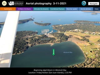 Beginning algal bloom in Westcott Bay
Location: Friday Harbor (San Juan Islands), 1:35 PM
Navigate
21 Aerial photography 3...