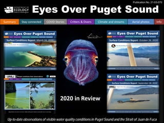 Eyes Over Puget Sound
Up-to-date observations of visible water quality conditions in Puget Sound and the Strait of Juan de Fuca
Publication No. 21-03-070
Summary Stay connected COVID Stories Critters & Divers Climate and streams Aerial photos Info
2020 in Review
 