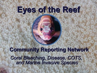 Eyes of the ReefEyes of the Reef
Community Reporting NetworkCommunity Reporting Network
Coral Bleaching, Disease, COTS,Coral Bleaching, Disease, COTS,
and Marine Invasive Speciesand Marine Invasive Species
 