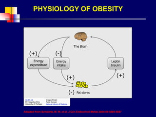 Adapted from Schwartz, M. W. et al. J Clin Endocrinol Metab 2004;89:5889-5897
PHYSIOLOGY OF OBESITY
Energy
expenditure
Energy
intake
Leptin
Insulin
(+)
(+)
(+)
(-)
(-)
Fat stores
The Brain
CC:BY 3.0
BY: Regents of the
University of Michigan
Image of brain
Public Domain
National Library of Medicine
 